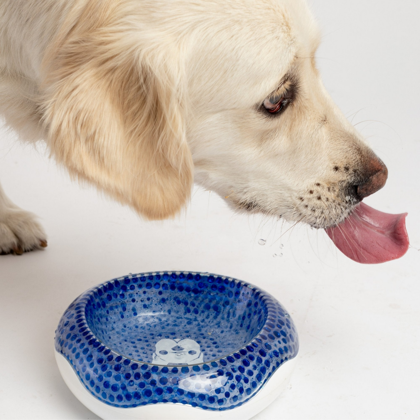 Compact Cooling Dog Bowl