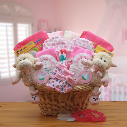 Double Delight Twins New Babies Gift Basket - Pink - baby bath set -  baby girl gifts - baby shower gifts