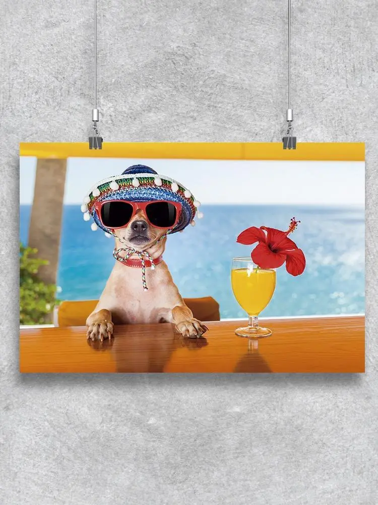 Chihuahua Drinking A Cocktail Poster